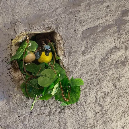 Le Repose Pieds - D'etape Randonnees - Bed & Breakfast